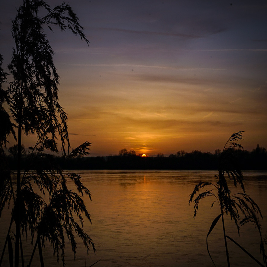 _DSC0975