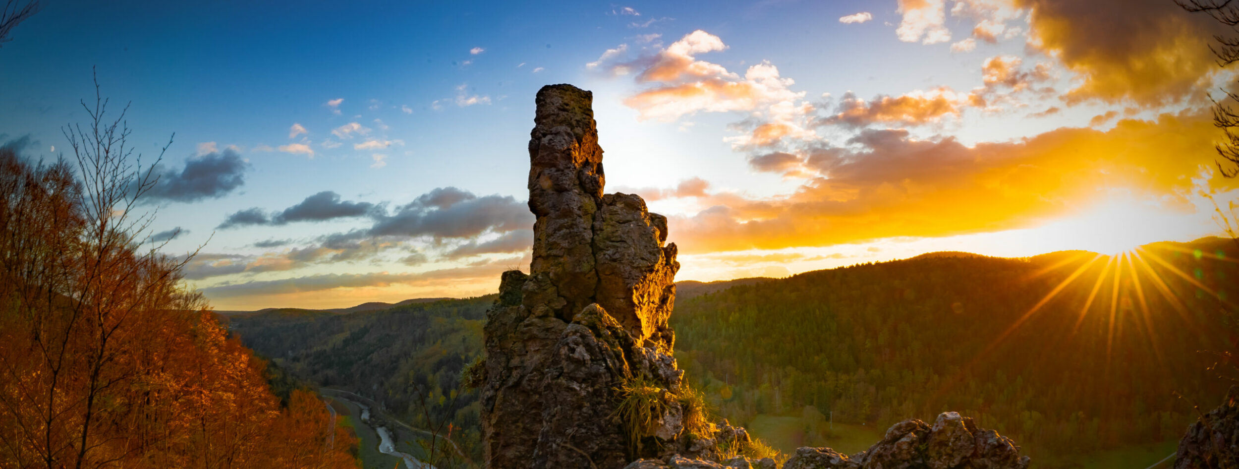 woifesphotoprints.de